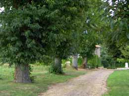 L'all�e menant � la propri�t�