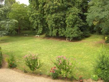 Le jardin vu d'une fen�tre de la maison